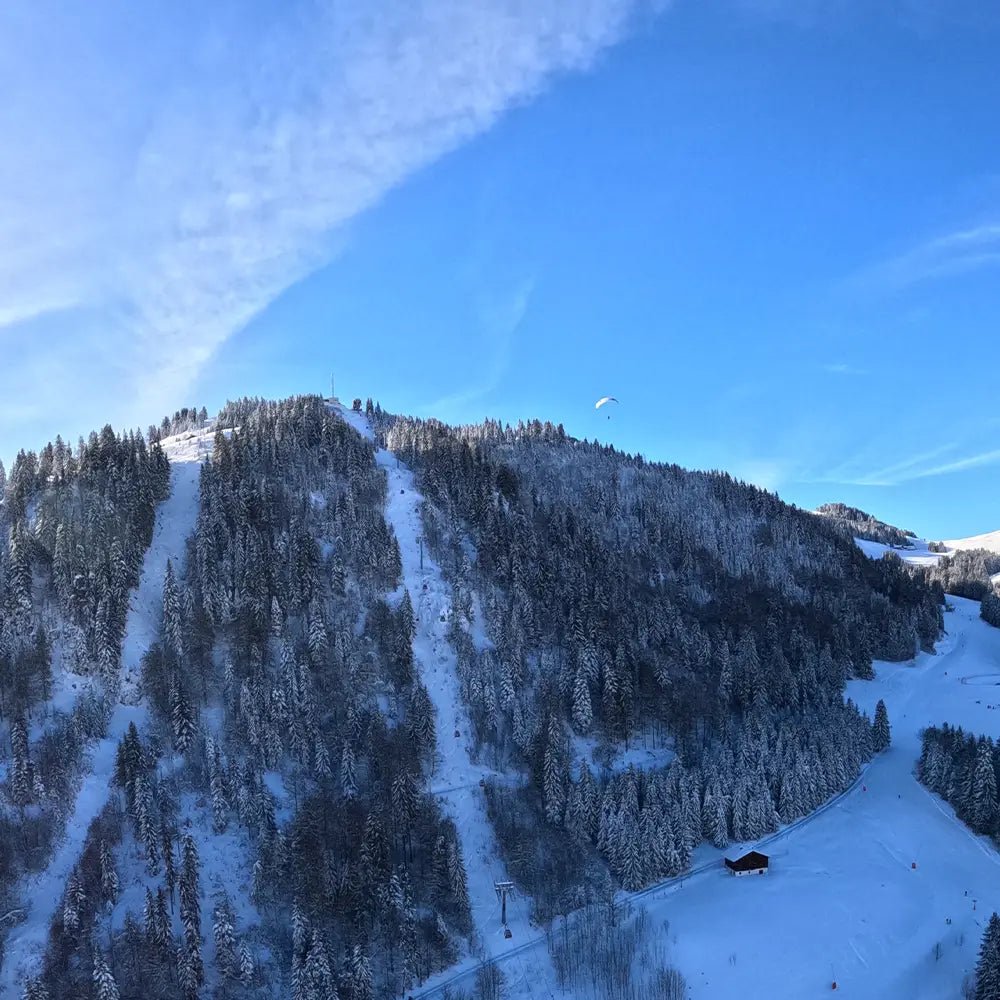 Bon cadeau - Vol Découverte - Depuis Beauregard - Ailes des Aravis